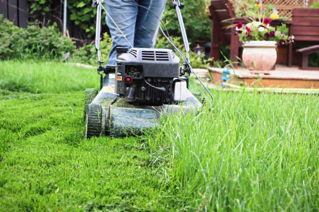 Mowing tall grass hot sale